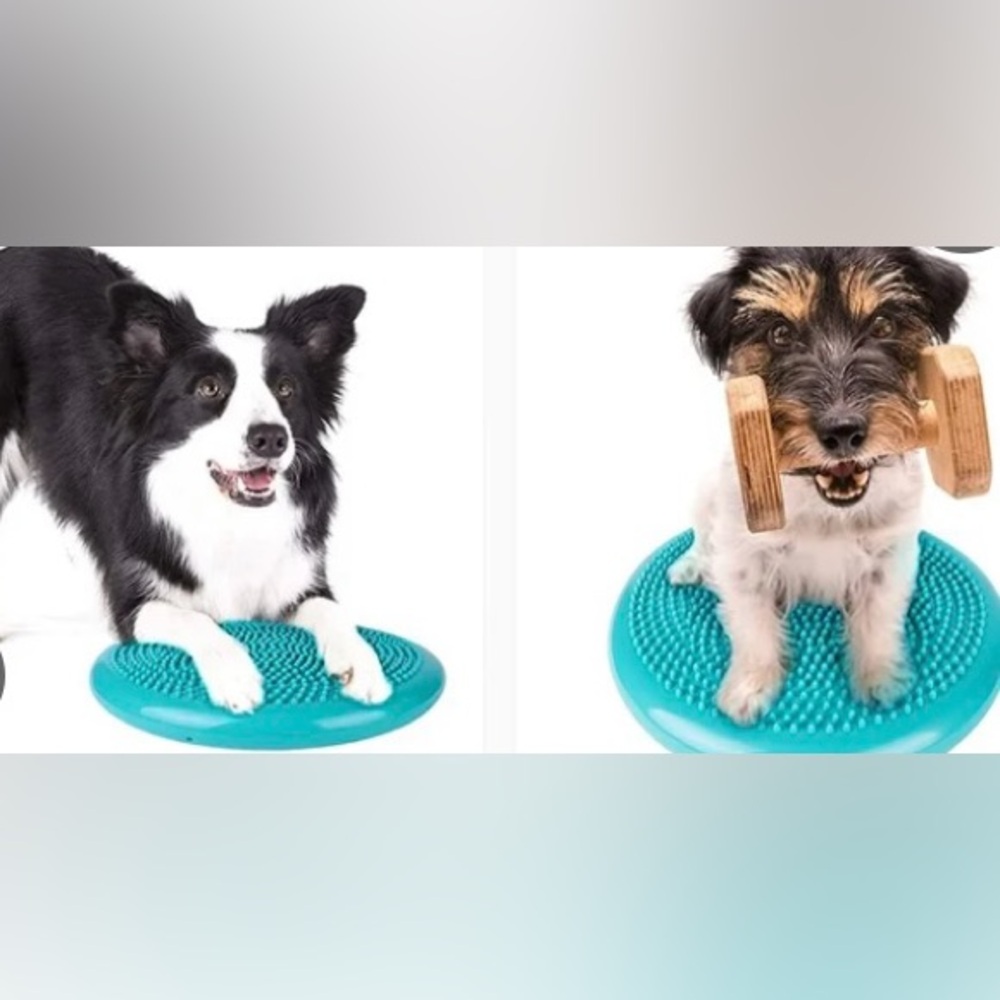 Inflated Wobble Cushion Blue